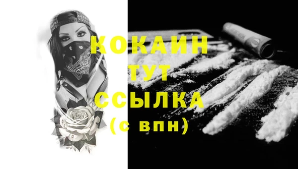 дурь Богородицк