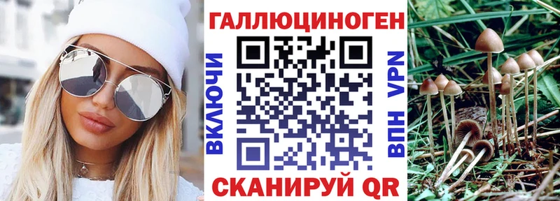 Псилоцибиновые грибы ЛСД  это как зайти  Щигры  купить наркотик 