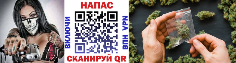 продажа наркотиков  Щигры  МАРИХУАНА индика 